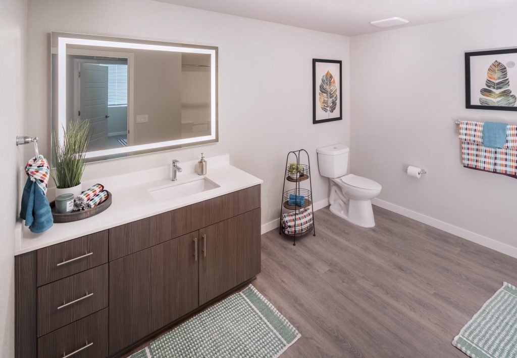 The Overlook at Keystone Canyon Apartments - Reno NV - 2 Bedroom 2 Bath - Guest Bathroom